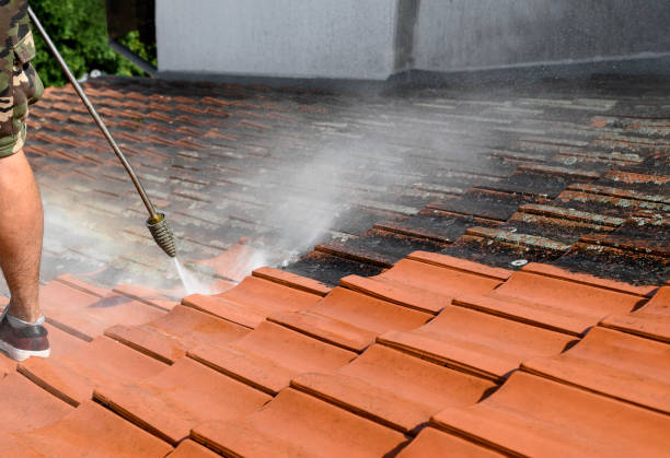 Best Residential Pressure Washing Services  in Conestee, SC