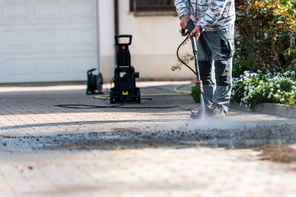 Best Roof Pressure Washing  in Conestee, SC