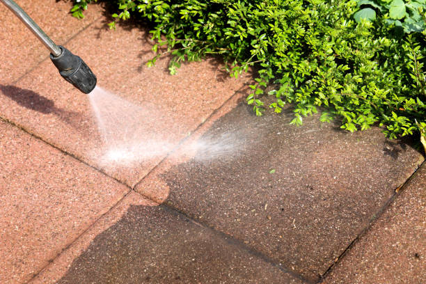 Best Pressure Washing Near Me  in Conestee, SC